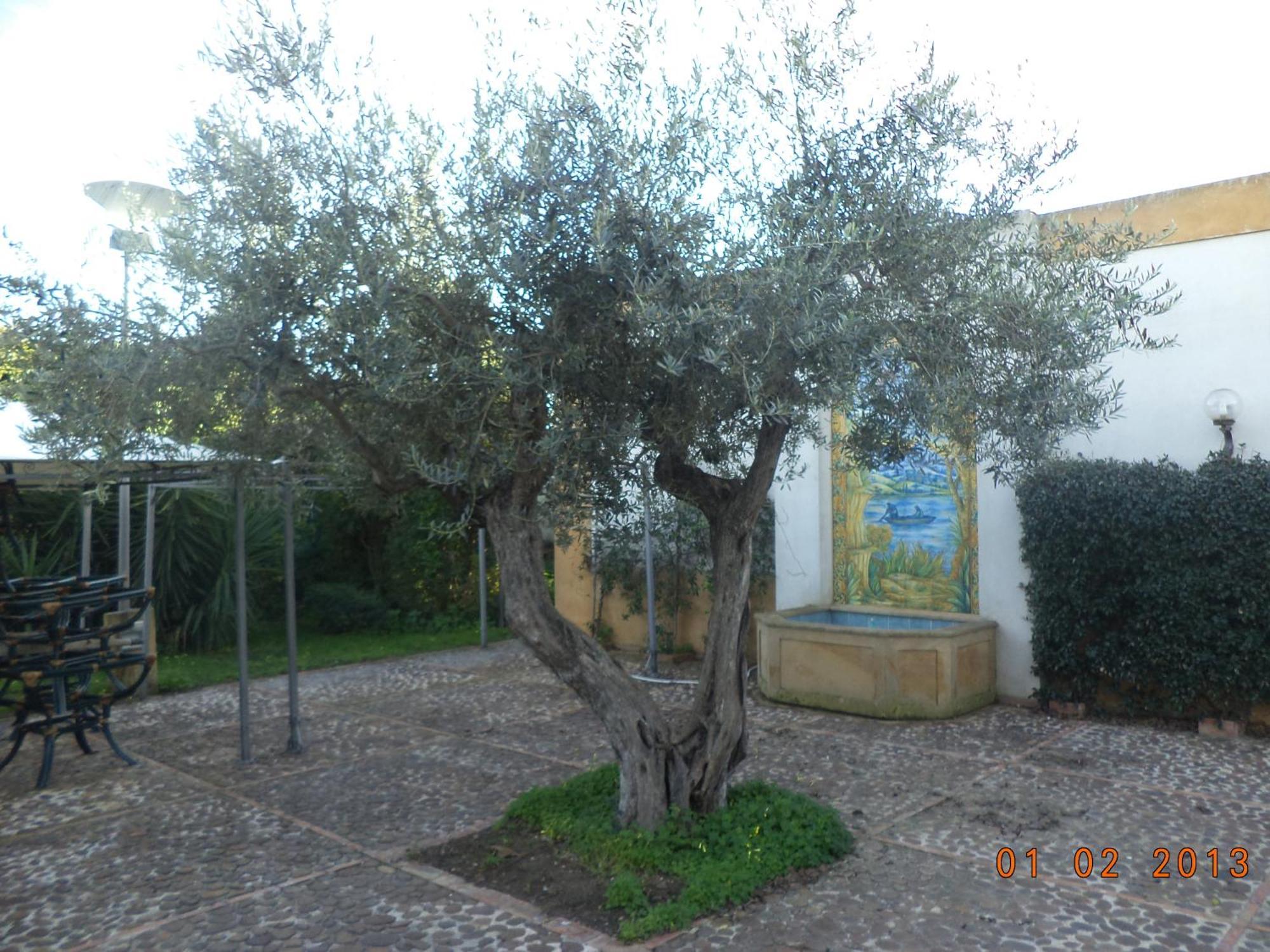 Hotel Villa Palocla Sciacca Exteriér fotografie